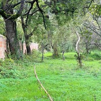 Остров в Греции, Ионические острова, Корфу, 496 кв.м.