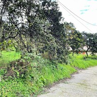 Остров в Греции, Ионические острова, Корфу, 496 кв.м.