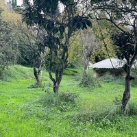 Остров в Греции, Ионические острова, Корфу, 496 кв.м.