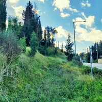 Остров в Греции, Ионические острова, Корфу, 5500 кв.м.