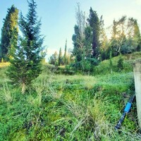 Остров в Греции, Ионические острова, Корфу, 5500 кв.м.
