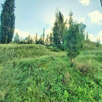 Остров в Греции, Ионические острова, Корфу, 5500 кв.м.