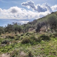 Остров в Греции, Ионические острова, Корфу, 9500 кв.м.
