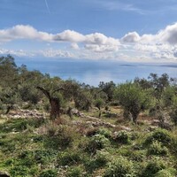Остров в Греции, Ионические острова, Корфу, 9500 кв.м.