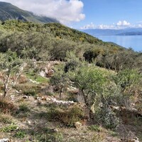 Остров в Греции, Ионические острова, Корфу, 9500 кв.м.