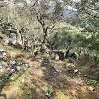 Остров в Греции, Ионические острова, Корфу, 9500 кв.м.