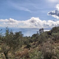 Остров в Греции, Ионические острова, Корфу, 9500 кв.м.
