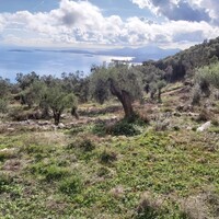 Остров в Греции, Ионические острова, Корфу, 9500 кв.м.