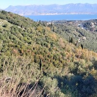 Island in Greece, Ionian Islands, Corfu, 10500 sq.m.
