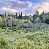 Island in Greece, Ionian Islands, Corfu, 6145 sq.m.