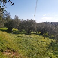 Island in Greece, Ionian Islands, Corfu, 9000 sq.m.