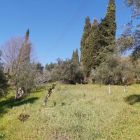 Island in Greece, Ionian Islands, Corfu, 9000 sq.m.