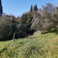 Island in Greece, Ionian Islands, Corfu, 9000 sq.m.