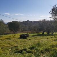 Island in Greece, Ionian Islands, Corfu, 9000 sq.m.