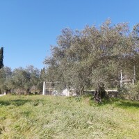 Island in Greece, Ionian Islands, Corfu, 9000 sq.m.