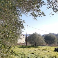Island in Greece, Ionian Islands, Corfu, 9000 sq.m.