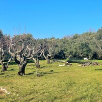 Остров в Греции, Ионические острова, Корфу, 3675 кв.м.
