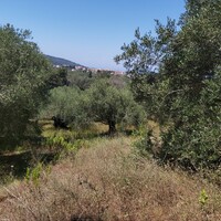 Остров в Греции, Ионические острова, Корфу, 4800 кв.м.