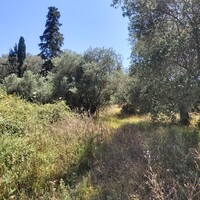 Остров в Греции, Ионические острова, Корфу, 4800 кв.м.