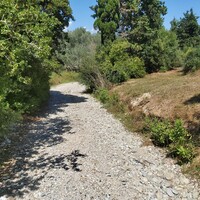 Остров в Греции, Ионические острова, Корфу, 4800 кв.м.