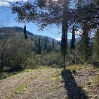Остров в Греции, Ионические острова, Корфу, 95095 кв.м.