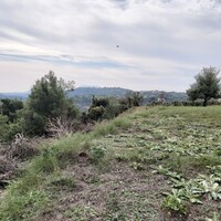 Остров в Греции, Ионические острова, Корфу, 7421 кв.м.