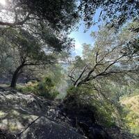 Island in Greece, Ionian Islands, Corfu, 12000 sq.m.