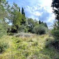Island in Greece, Ionian Islands, Corfu, 12000 sq.m.