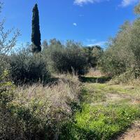 Island in Greece, Ionian Islands, Corfu, 3200 sq.m.