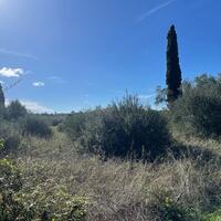 Island in Greece, Ionian Islands, Corfu, 3200 sq.m.