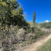 Island in Greece, Ionian Islands, Corfu, 3200 sq.m.