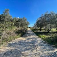 Island in Greece, Ionian Islands, Corfu, 3200 sq.m.