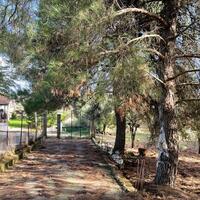 Island in Greece, Ionian Islands, Corfu, 8500 sq.m.