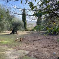 Island in Greece, Ionian Islands, Corfu, 8500 sq.m.