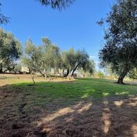Island in Greece, Ionian Islands, Corfu, 8500 sq.m.