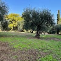 Island in Greece, Ionian Islands, Corfu, 8500 sq.m.