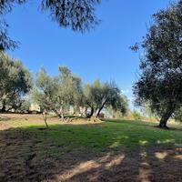 Island in Greece, Ionian Islands, Corfu, 8500 sq.m.
