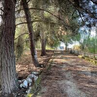 Island in Greece, Ionian Islands, Corfu, 8500 sq.m.