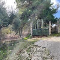 Island in Greece, Ionian Islands, Corfu, 8500 sq.m.