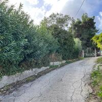 Island in Greece, Ionian Islands, Corfu, 8500 sq.m.