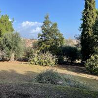 Island in Greece, Ionian Islands, Corfu, 8500 sq.m.