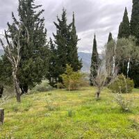 Остров в Греции, Ионические острова, Корфу, 2463 кв.м.
