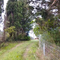 Остров в Греции, Ионические острова, Корфу, 5002 кв.м.