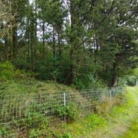 Остров в Греции, Ионические острова, Корфу, 5002 кв.м.