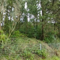 Остров в Греции, Ионические острова, Корфу, 5002 кв.м.