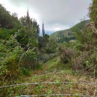 Остров в Греции, Ионические острова, Корфу, 5002 кв.м.