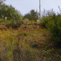 Остров в Греции, Ионические острова, Корфу, 5002 кв.м.