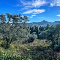 Остров в Греции, Ионические острова, Корфу, 8781 кв.м.