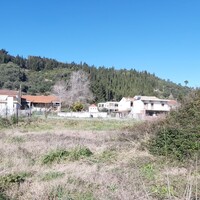 Island in Greece, Ionian Islands, Corfu, 1500 sq.m.