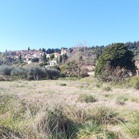Island in Greece, Ionian Islands, Corfu, 1500 sq.m.
